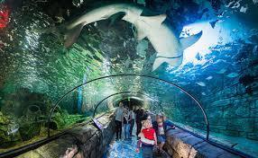 SeaLife Aquarium