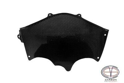 Panel under the headlight from Carbon Fiber Suzuki GSX-R600 GSX-R750