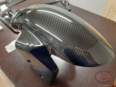 Front fender from Carbon Fiber BMW S1000RR