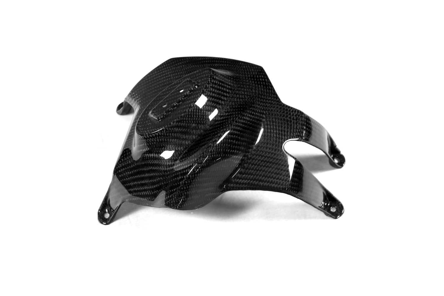 Clutch cover from Carbon Fiber for BMW K1300R