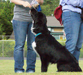 Well Trained Class Add-On Lessons Well Trained Class Add-On Lessons