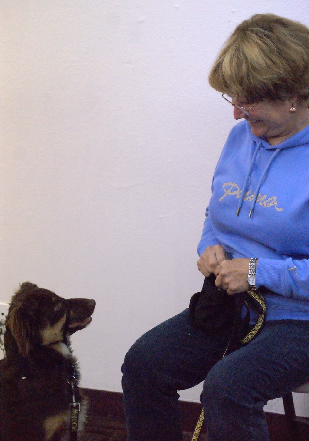 Well Trained Dogs, Level I: Thursday, February 18, 2021, 7:30 PM (Seminar & 3 1-Hr Classes) Well Trained Dogs, Level I: Thursday, February 18, 2021, 7:30 PM (Seminar & 3 1-Hr Classes)