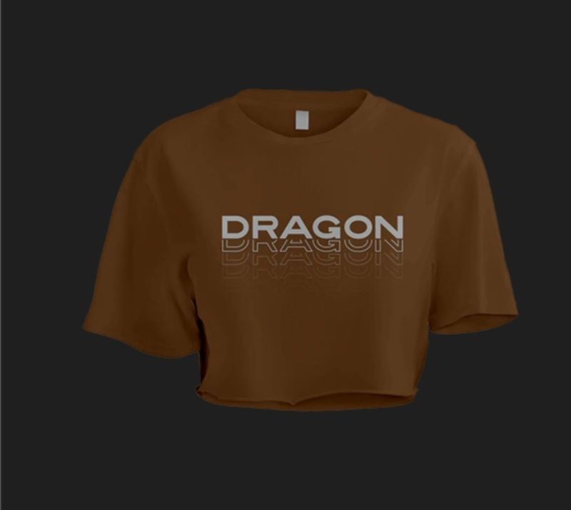 FALLOUT OVERSIZED CROP TOP BROWN