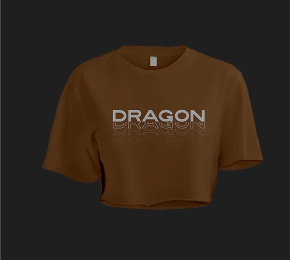FALLOUT OVERSIZED CROP TOP BROWN