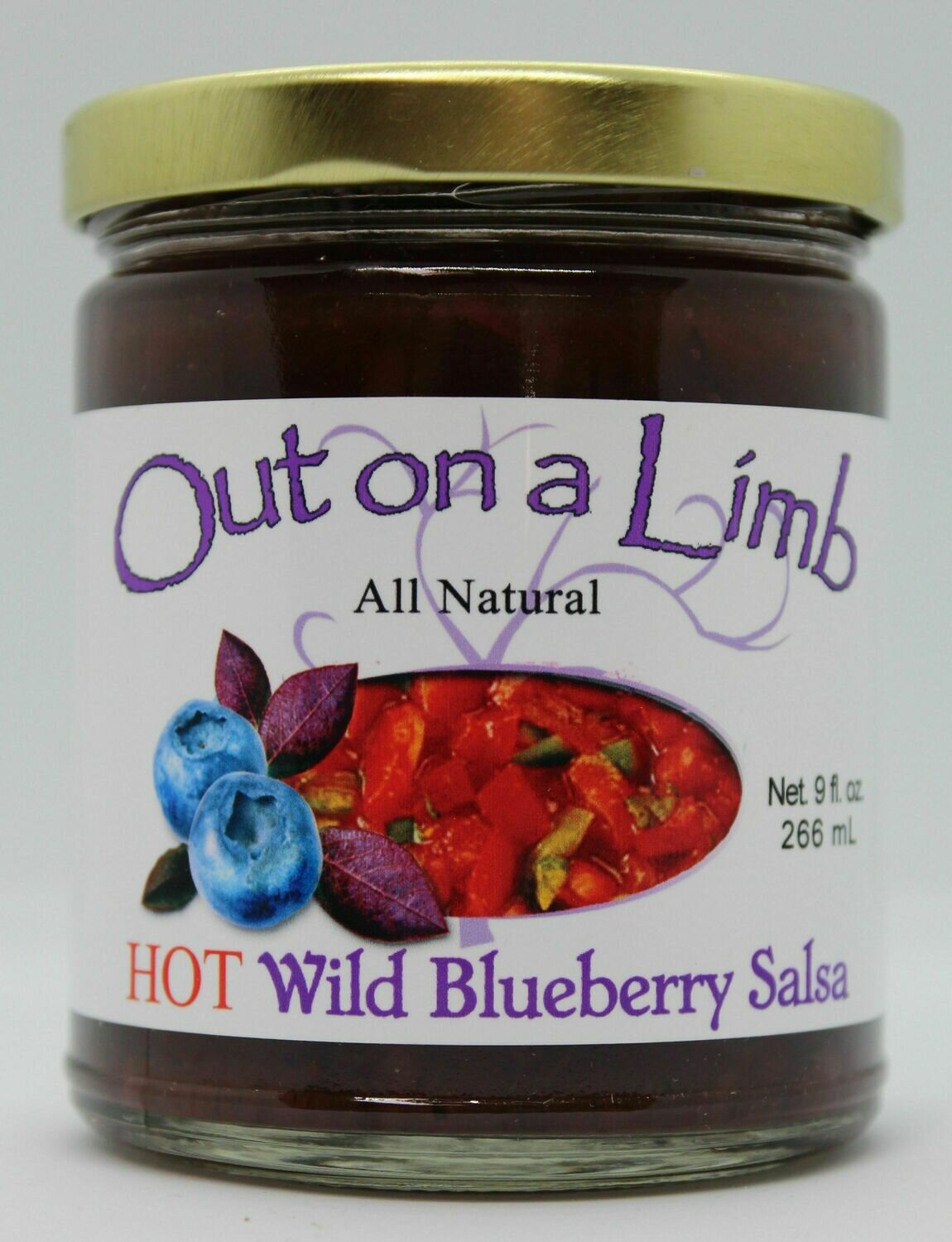 WILD MAINE BLUEBERRY SALSA HOT (BBSH) WILD MAINE BLUEBERRY SALSA HOT (BBSH)