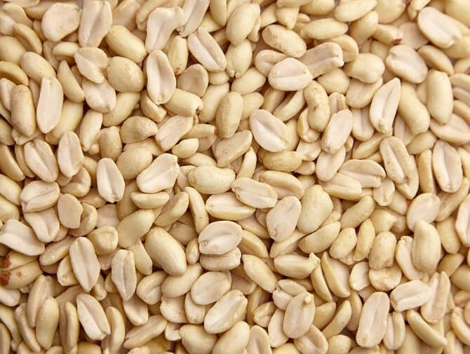 12.5KG PEANUT BLANCHED CTN2 (NOSKIN)