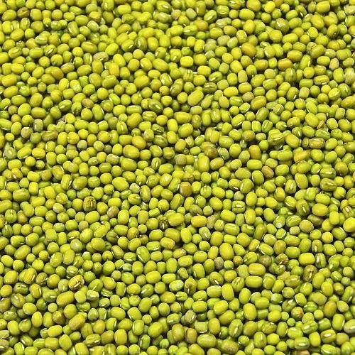 25KG MUNG BEAN (GREEN)