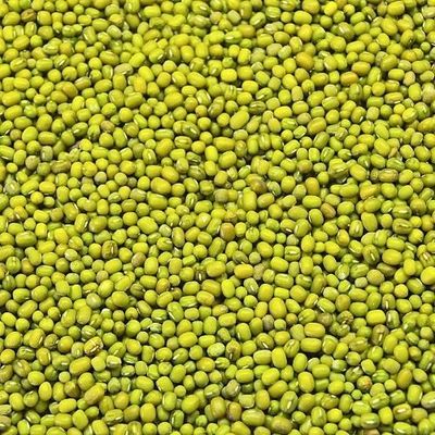 25KG MUNG BEAN (GREEN)