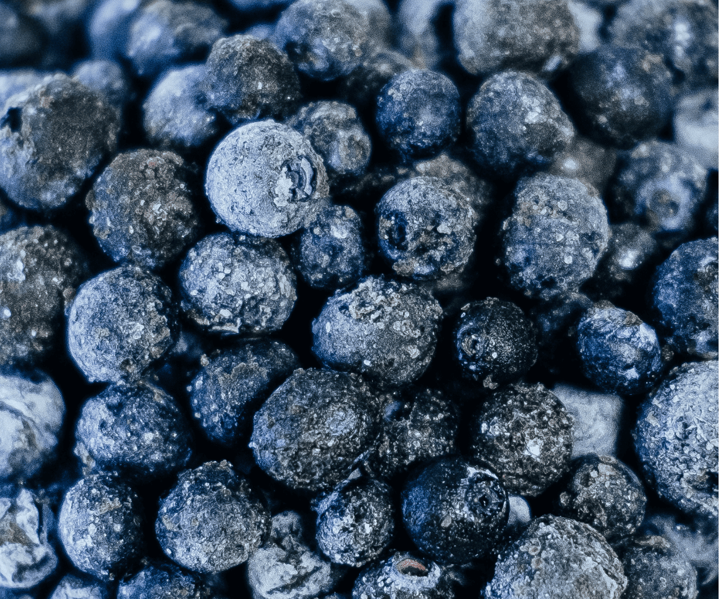 BLUEBERRY FROZEN 13.61KG