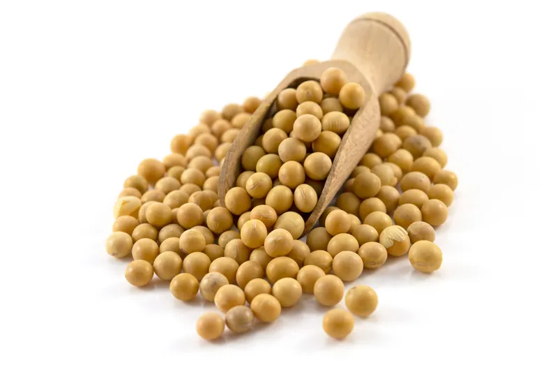 SOYA BEAN 25KG ARROW