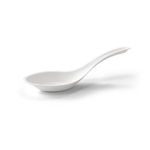 SUGARCANE CHINESE SPOON 1000PCS