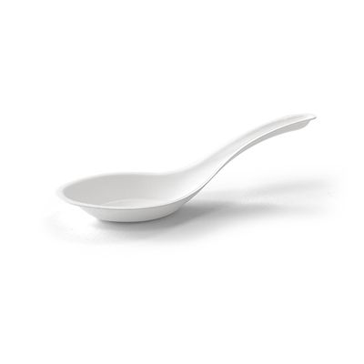 SUGARCANE CHINESE SPOON 1000PCS