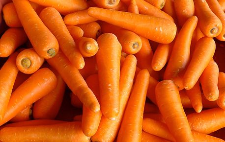 PREMIUM CARROT 20KG - A GRADE