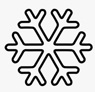 Frozen Food