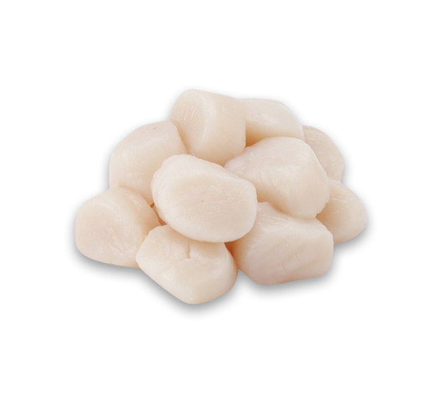 SCALLOP 30/40 (900gx10)