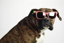 OFA Eye Clinic