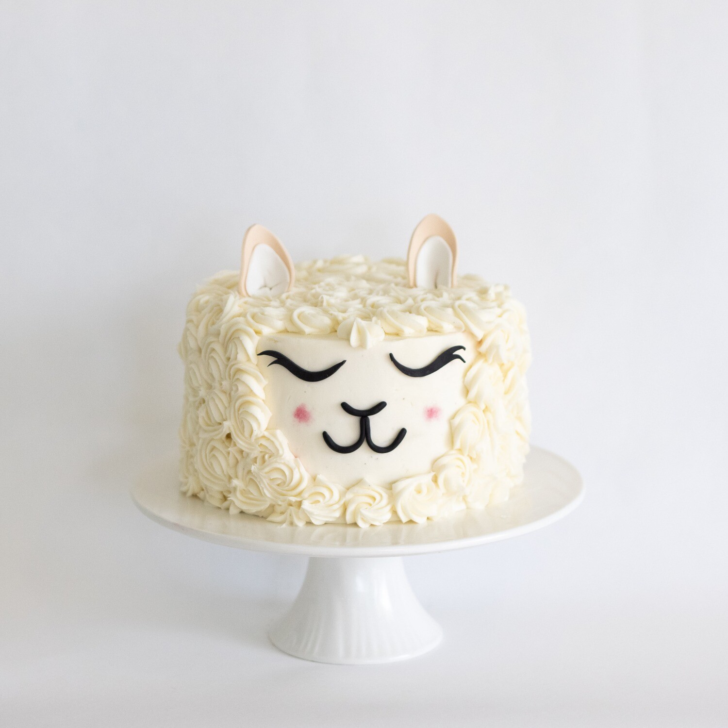 Little Llama