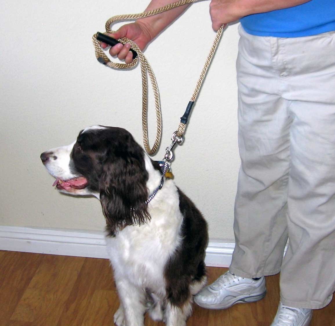 The American: 6 Ft - Leash With Clip with Rubber Handle