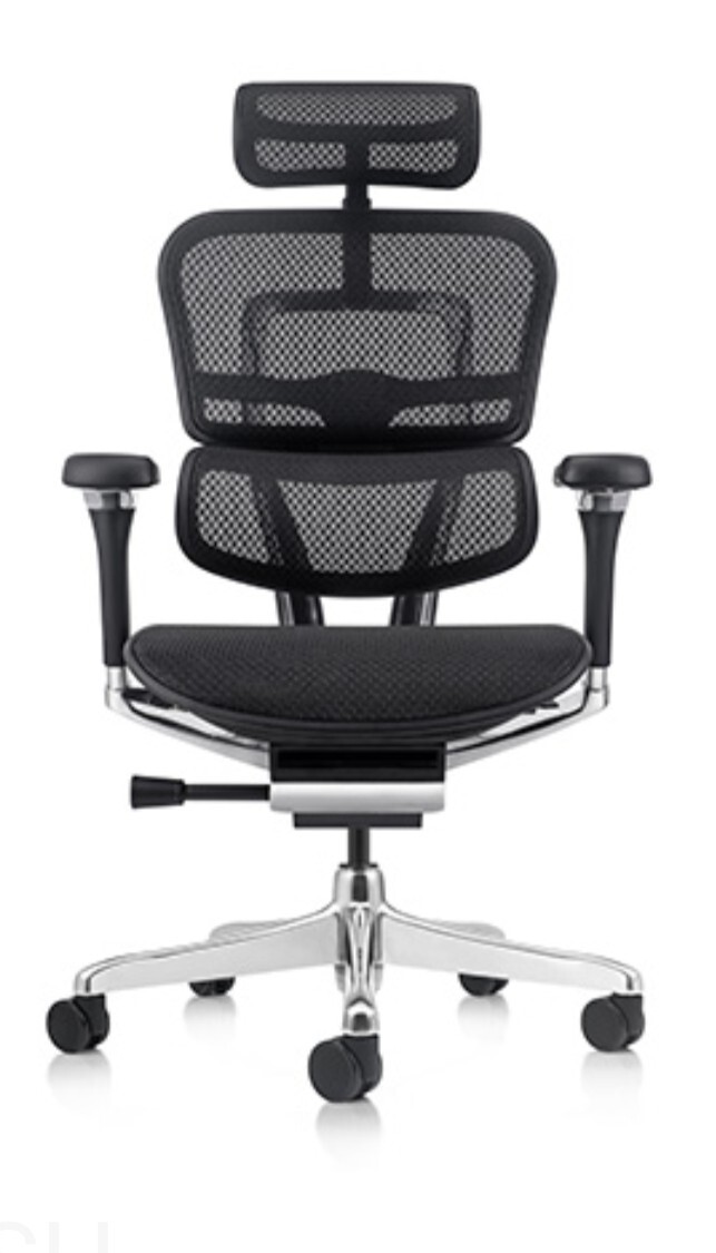 Ergohuman 2 Elite Mesh Chair