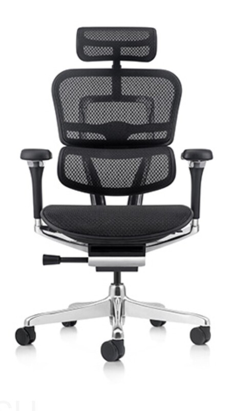 Ergohuman 2 Elite Mesh Chair