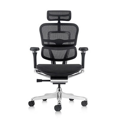 Ergohuman Chairs