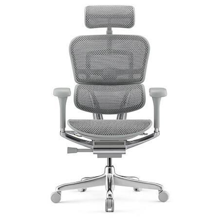 Ergohuman 2 Elite Platinum Mesh Chair