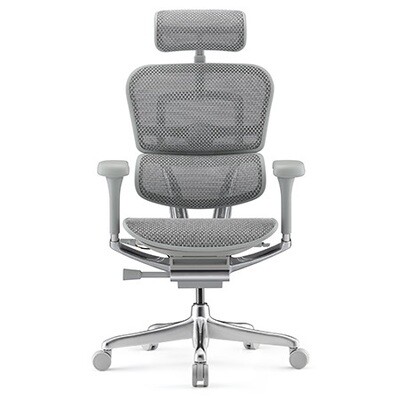 Ergohuman 2 Elite Platinum Mesh Chair