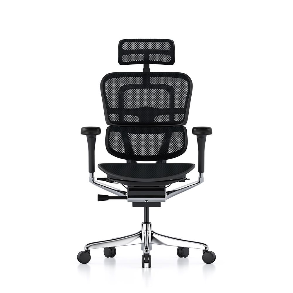 Ergohuman 2 Elite Mesh Chair - Brand New