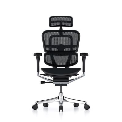 Ergohuman 2 Elite Mesh Chair - Brand New