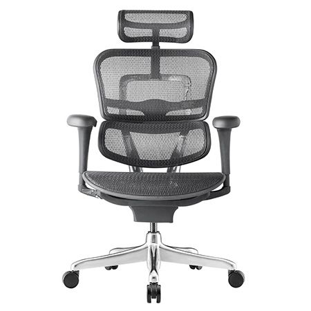 Ergohuman 2 Project Mesh With Legrest - Brand New
