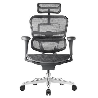 Ergohuman 2 Project Mesh With Legrest - Brand New