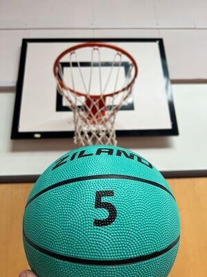 Basketball Funday