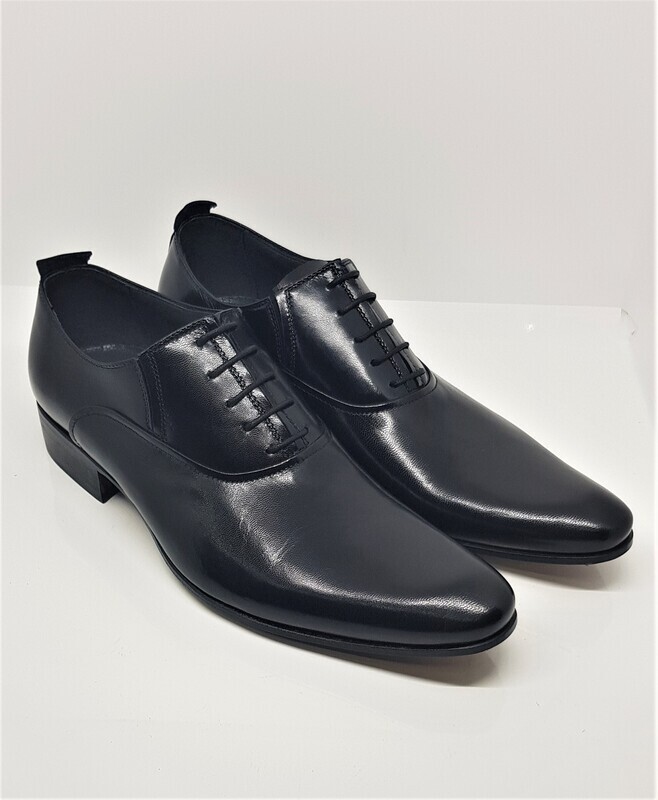 POLLINI