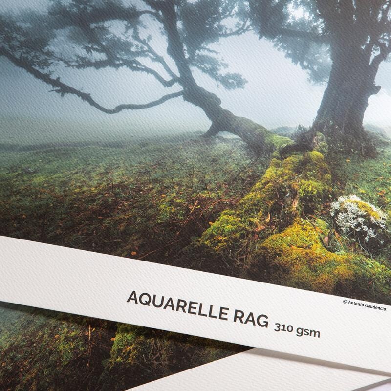 FINE ART PHOTO PRINTS