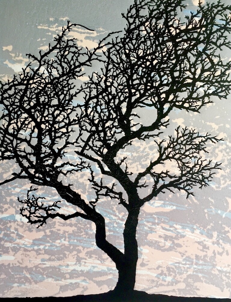 Hawthorn 1, by Richard Shimell Hawthorn 1, by Richard Shimell