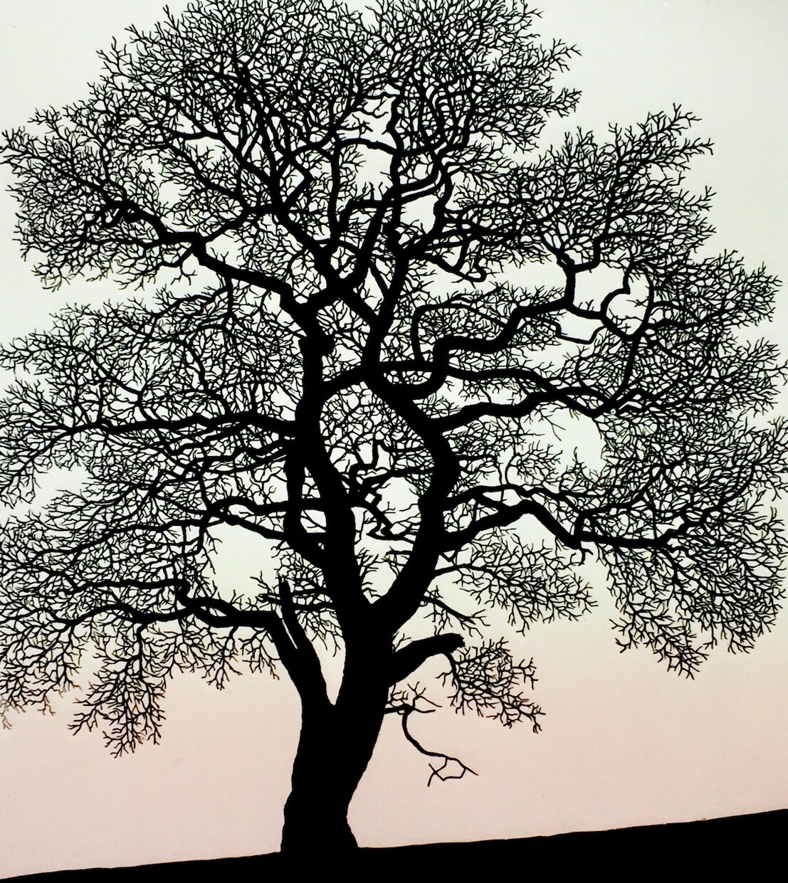 Heart Oak, by Richard Shimell Heart Oak, by Richard Shimell