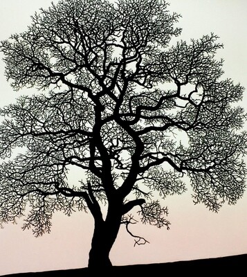 Heart Oak, by Richard Shimell Heart Oak, by Richard Shimell