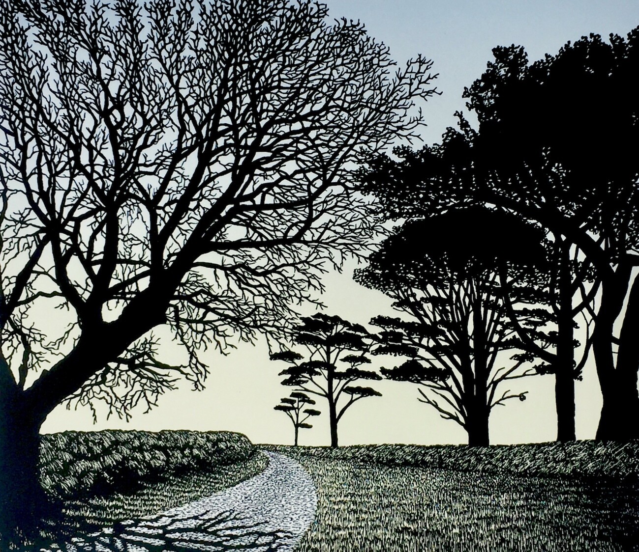 To the Sea, by Richard Shimell To the Sea, by Richard Shimell