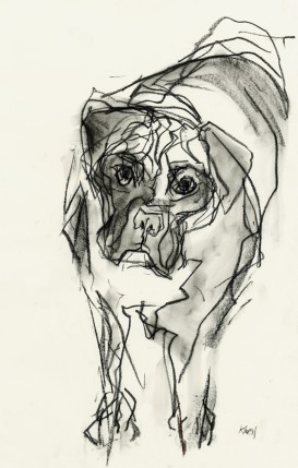 Benny, by Barbara Karn Benny, by Barbara Karn