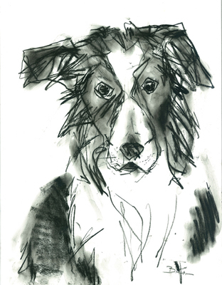 Sheppy, by Barbara Karn Sheppy, by Barbara Karn