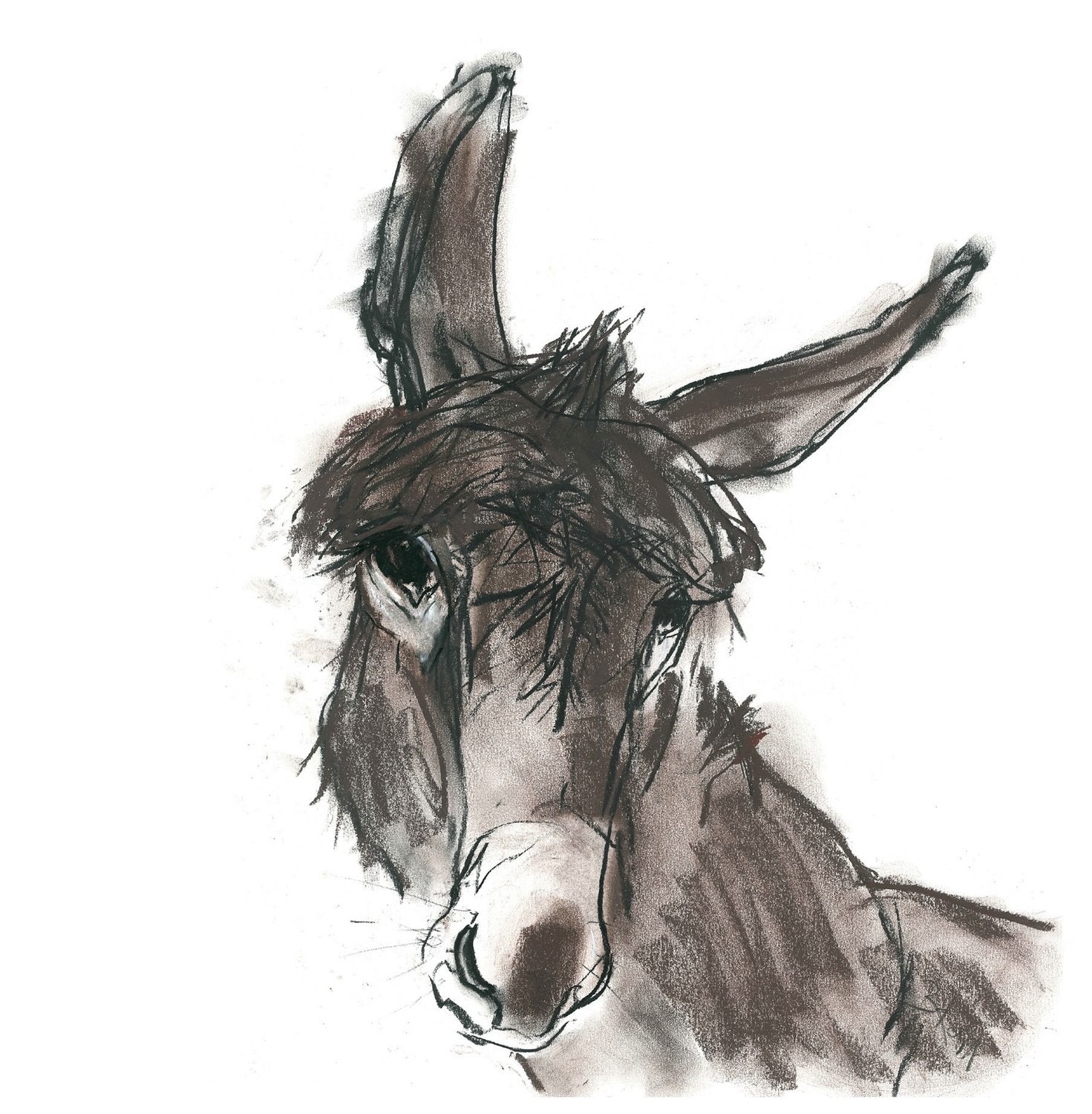 Derek the Donkey, by Barbara Karn Derek the Donkey, by Barbara Karn