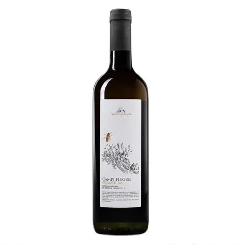 Falanghina Dei Campi Flegrei Dop 2021 Contrada Salandra Cl.75 13% Vol.