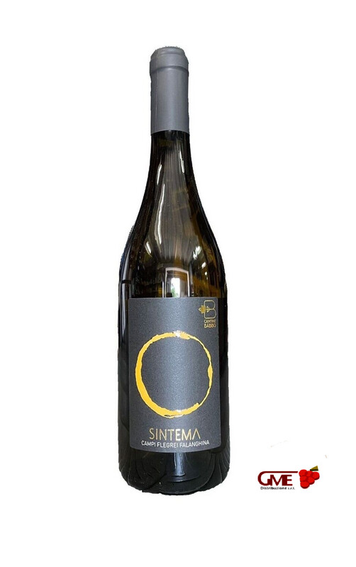 Falanghina Doc 2023 Campi Flegrei Sintema Cantine Babbo Cl.75 12% Vol.