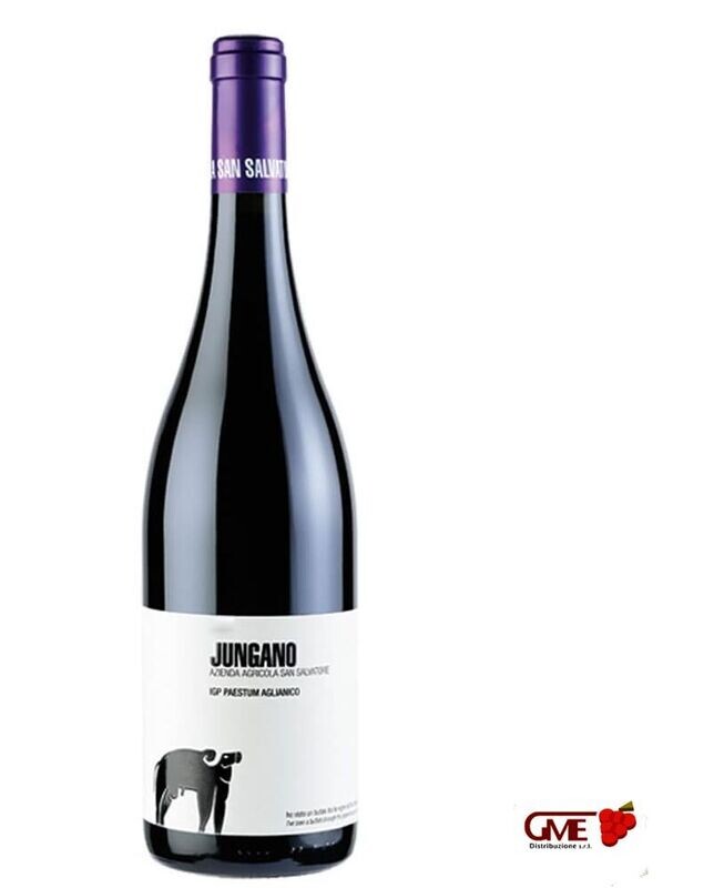 Aglianico Jungano Paestum Igp 2021 San Salvatore Cl.75 14% Vol.