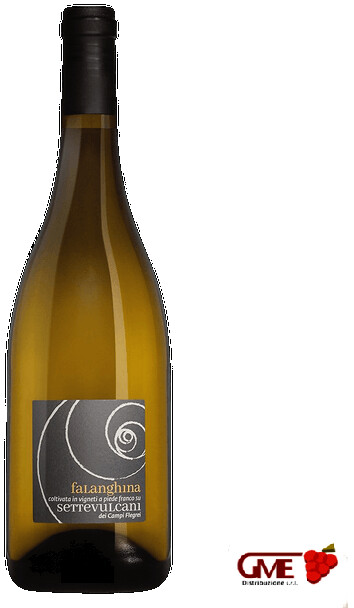 Falanghina Dei Campi Flegrei Doc 2024 Settevulcani Martusciello Cl.75 12,5% Vol.