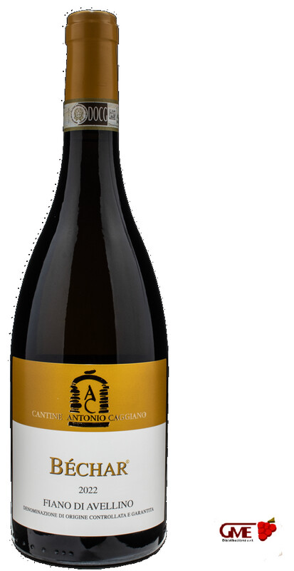 Fiano Di Avellino Bechar Docg 2024 Antonio Caggiano Cl.75 13,5% Vol.