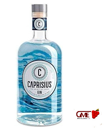 Gin Caprisius Cl.70 43% Vol