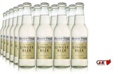 Ginger Beer Fever Tree Cl.20x24 Bottiglie