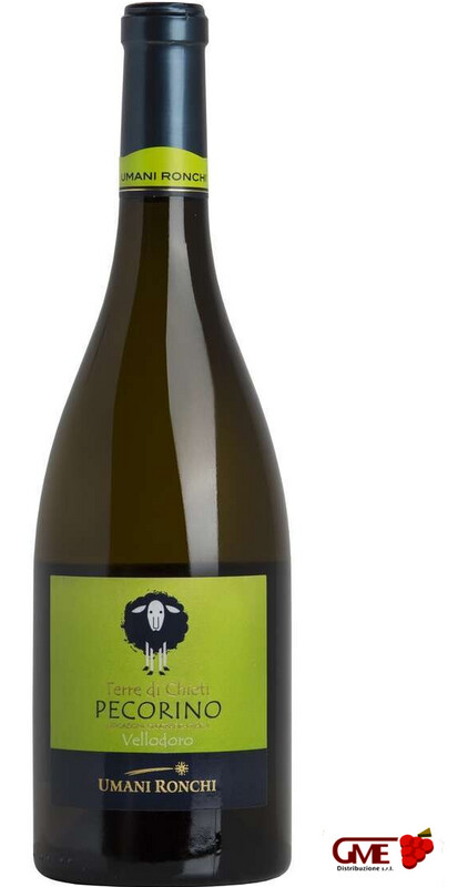 Pecorino Vellodoro Terre Di Chieti Igt 2024 Umani Ronchi Cl.75 12,5% Vol.