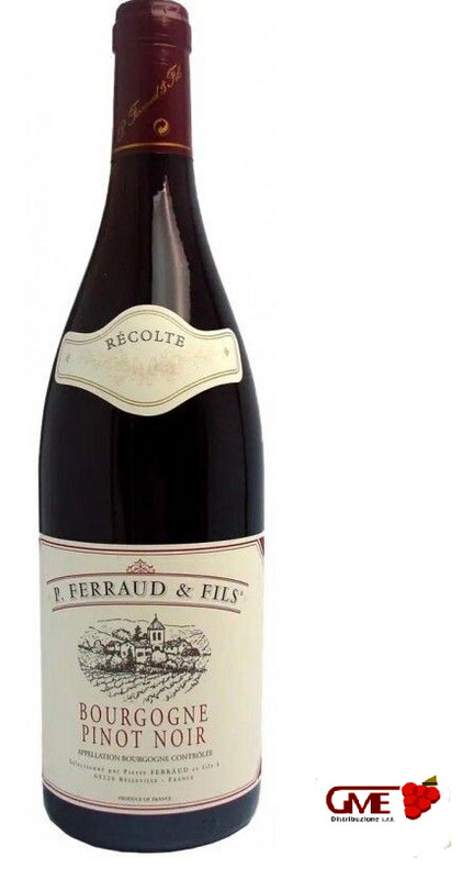 Pinot Noir Bourgogne Doc 2022 Ferraud&Fils Cl.75 13% Vol.